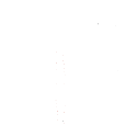 curriculum-semester2-illustration